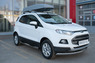 Пороги труба с накладкой Ford Ecosport 2014- (d76) #2