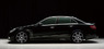 Обвес «Wald Black Bison Sports Line» на Mercedes E-class 