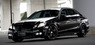 Обвес «Wald Black Bison Sports Line» на Mercedes E-class 