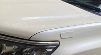 Заглушка крыла рожка Toyota Land Cruiser Prado 150 