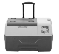 Холодильник Alpicool на фрионе автомобильный 30л 12v/24v/220v