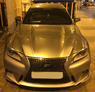 Эмблема Lexus F-Sport в решетку (165*120мм)