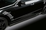Обвес «Wald Black Bison Sports Line» на Mercedes E-class 