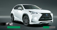 Обвес Modellista для Lexus NX200t NX300h