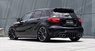 Обвес WALD Black Bison для Mercedes A W176