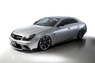 Аэродинамический обвес WALD Black Bison для Mercedes CLS-class (C219)