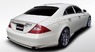 Аэродинамический обвес Branew для Mercedes CLS-class (C219)