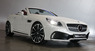 Обвес WALD Black Bison для Mercedes SLK R172
