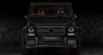 Обвес Mansory для Mercedes G63 G65 W463