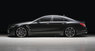 Обвес WALD Black Bison для Mercedes CLS C218