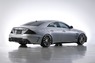 Аэродинамический обвес WALD Black Bison для Mercedes CLS-class (C219)