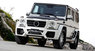 Обвес WALD Black Bison для Mercedes W463 G-class