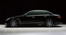Обвес WALD Black Bison для Mercedes E W212