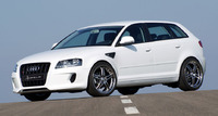 Аэродинамический обвес Hofele Design для Audi A3 (8P)