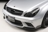 Аэродинамический обвес WALD Black Bison для Mercedes CLS-class (C219)