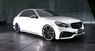 Обвес WALD Black Bison для Mercedes E W212 (рестайлинг)