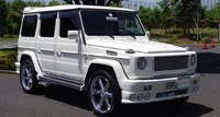 Обвес Branew для Mercedes W463 G-class