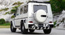 Обвес WALD Black Bison для Mercedes W463 G-class