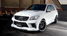 Обвес WALD Black Bison для Mercedes ML W166