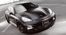 Обвес WALD Black Bison для Porsche Panamera