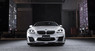 Обвес WALD Black Bison для BMW 6er F12 F13