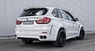 Обвес Hamann Widebody для BMW X5M F85