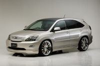 Аэродинамический обвес WALD Executive Line для Lexus RX330 / RX350 (копия)