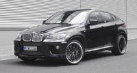 Аэродинамический обвес AC Schnitzer для BMW X6 E71