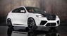 Обвес Mansory для BMW X6 E71