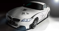 Аэродинамический обвес Tommy Kaira Rowen для BMW Z4 E89