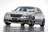 Обвес «Wald Black Bison Edition» на Mercedes E-class W211