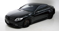 Аэродинамический обвес WALD Black Bison для Mercedes CL W216