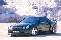 Аэродинамический обвес WALD Monster Machine для Mercedes CL-class (W215)