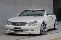 Аэродинамический обвес Branew для Mercedes SL-class (R230)