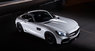 Обвес WALD Black Bison для Mercedes AMG GT