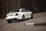 Обвес Wald Mercedes CL-Class C216 / W216