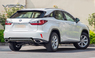 Накладка заднего бампера F-Sport Lexus RX350 / RX200t / RX450h