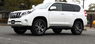 Диски Rays FDX R17x8+20 Prado 150, FJ Cruiser, Fortuner, Hilux