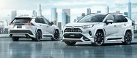 Обвес "TRD Street Monster" Toyota RAV4 2019-2020 (Япония)