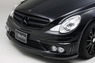 Аэродинамический обвес WALD Black Bison для Mercedes R-class (W251)