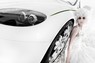 Кованные диски из коллекции «Fleur de Lis» GW Blanc de Blancs