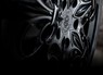 Кованные диски из коллекции «Fleur de Lis» GW Comte Noir