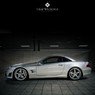 Кованные диски из коллекции «Sport» GW Sport Collection
