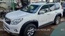 Фендера - расширители колесных арок Toyota Land Cruiser Prado 150 (ABS)