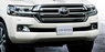 Бампер передний + решетка радиатора Toyota Land Cruiser 200 2015-2016+