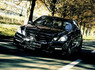 Обвес «Wald Black Bison Sports Line» на Mercedes E-class 