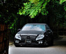 Обвес «Wald Black Bison Sports Line» на Mercedes E-class 