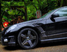 Обвес «Wald Black Bison Sports Line» на Mercedes E-class 
