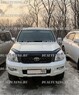 Решетка радиатора TRD Toyota Land Cruiser Prado 120