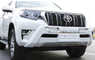 Накладка на передний бампер (дуга/защита) Toyota Land Cruiser Prado 150 2018, 2019
